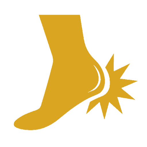 Ankle Specialist in Chandigarh
