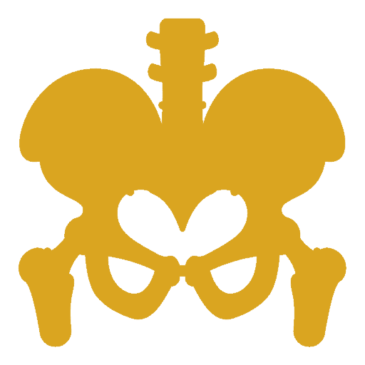Hip Specialist in Chandigarh