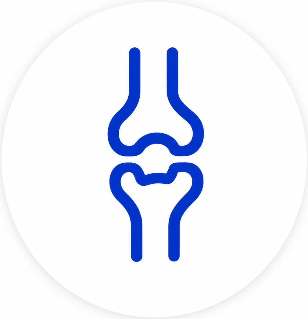 knee joint