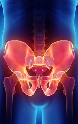 Pelvis & Acetabular Trauma Specialist in Chandigarh